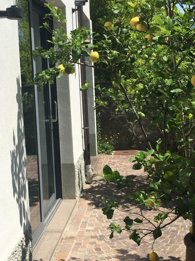 Millys Riva Apartments Bagian luar foto